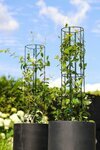 5 smart ways to keep you garden tidy