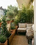 Balcony or Roof Terrace? How to keep container gardening sleek and organized