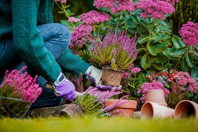15 tuin- en balkontips voor september