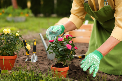 15 tuintips voor juni