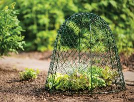 Accessoires en handigheidjes