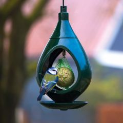 Collection bird feed holders