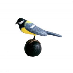 Great tit