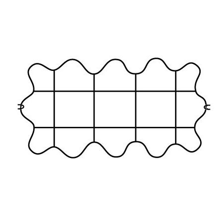 Groeiraster recht geschulpt 66 x 34 cm - afbeelding 1