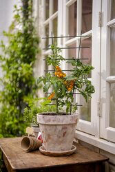 Plantenrek Vario S - 44 x 24 cm - afbeelding 2