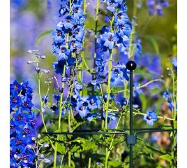 Grondpinnen & Plantensteunen