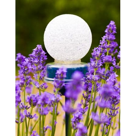 Pinnups lampe solaire - image 3