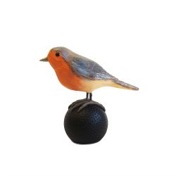 Robin - image 2