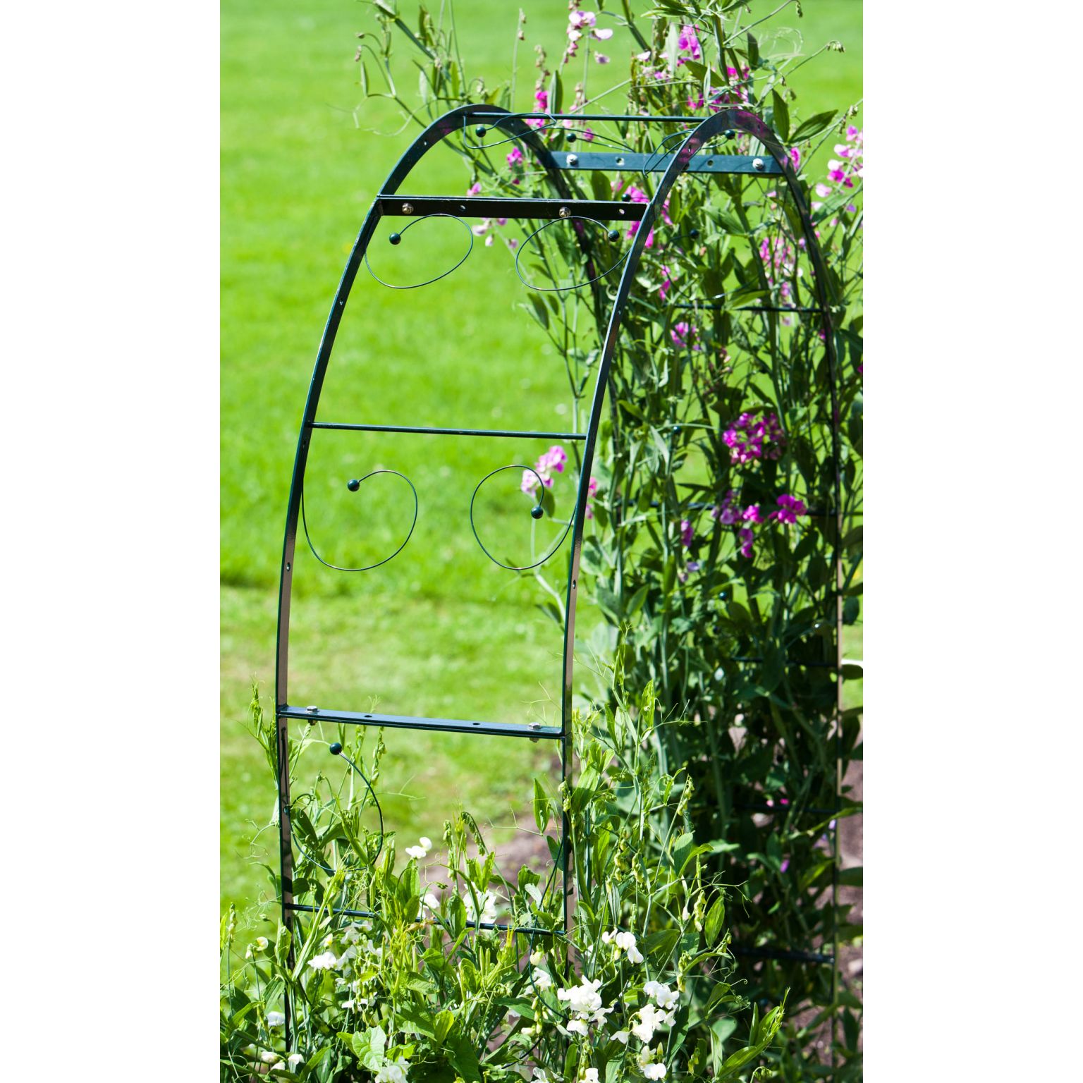 theorie Het apparaat oneerlijk Rozenboog Twiggy, groen - 230 x 150 cm - Peacock Garden Supports