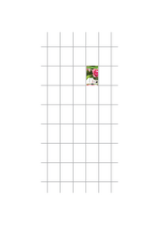 Treillage L - Métal