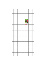 Treillage L - Noir mat