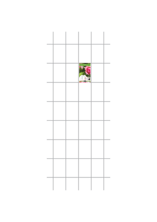 Treillage M - Métal