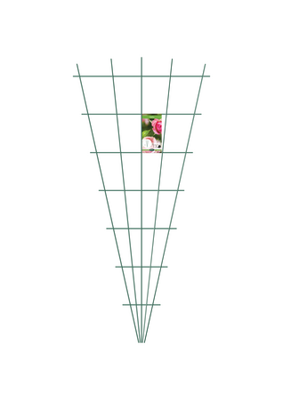 Trellis  Peacock Fan - Green