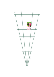 Trellis  Peacock Fan - Green