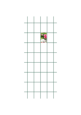 Trellis  Peacock M - Green