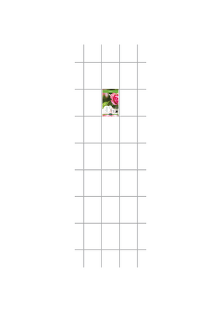 Trellis  Peacock S - Metal Galvanized