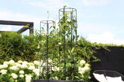 Trellis Vario halfrond S  - afbeelding 2