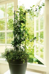 Trellis Vario - Rectangle M - image 2