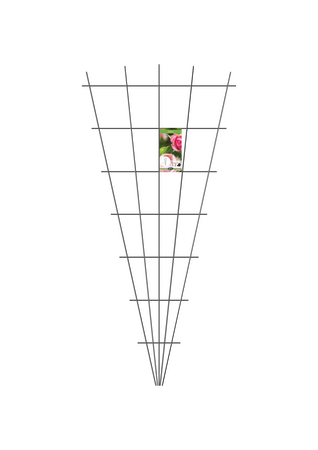 Wandspalier Fächer - Schwarz Matt