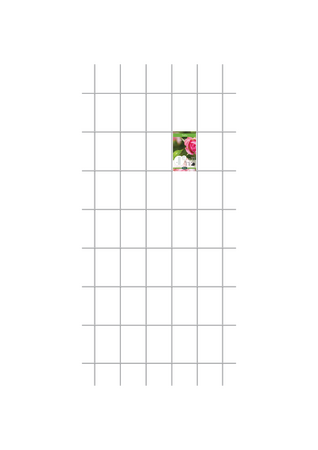 Wandspalier L - Stahl Galvanisiert