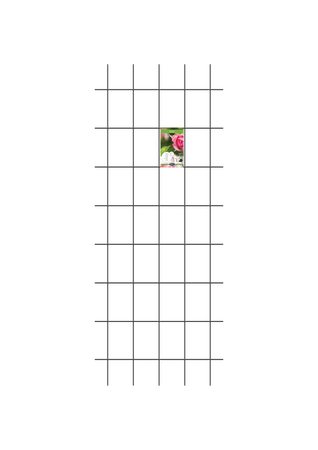 Wandspalier M - Schwarz Matt