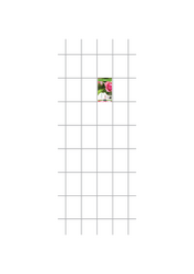 Wandspalier M - Stahl Galvanisiert